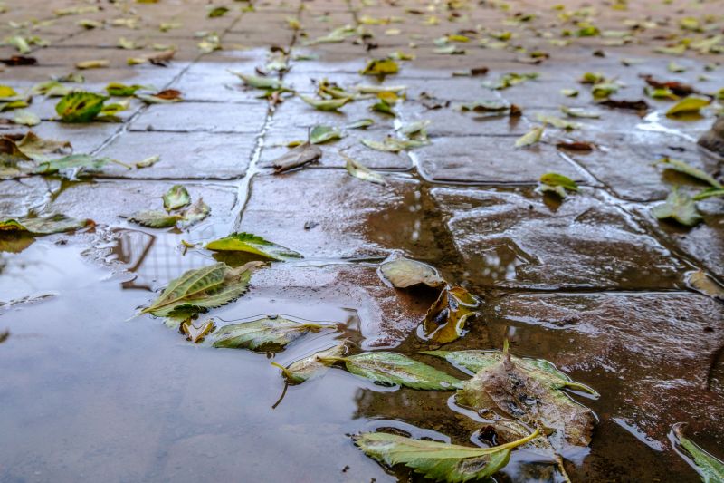 Decorative Concrete Repair in Essex County, NJ